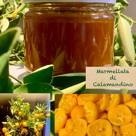 Unpazzoindietro Oda ve Kahvaltı Monopoli